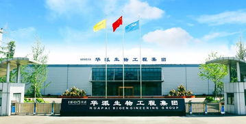 疫苗領(lǐng)域的革命 第三代核酸疫苗的崛起與重慶技術(shù)服務